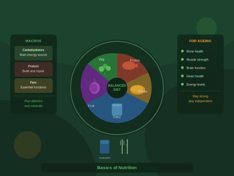 Basics of Nutrition